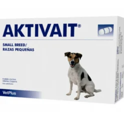 Aktivait pienille koirille