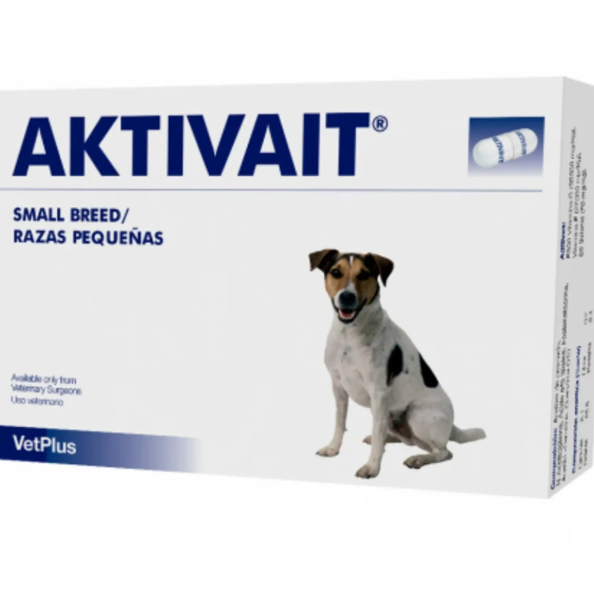 Aktivait pienille koirille