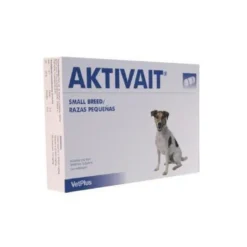 Aktivait pienille koirille