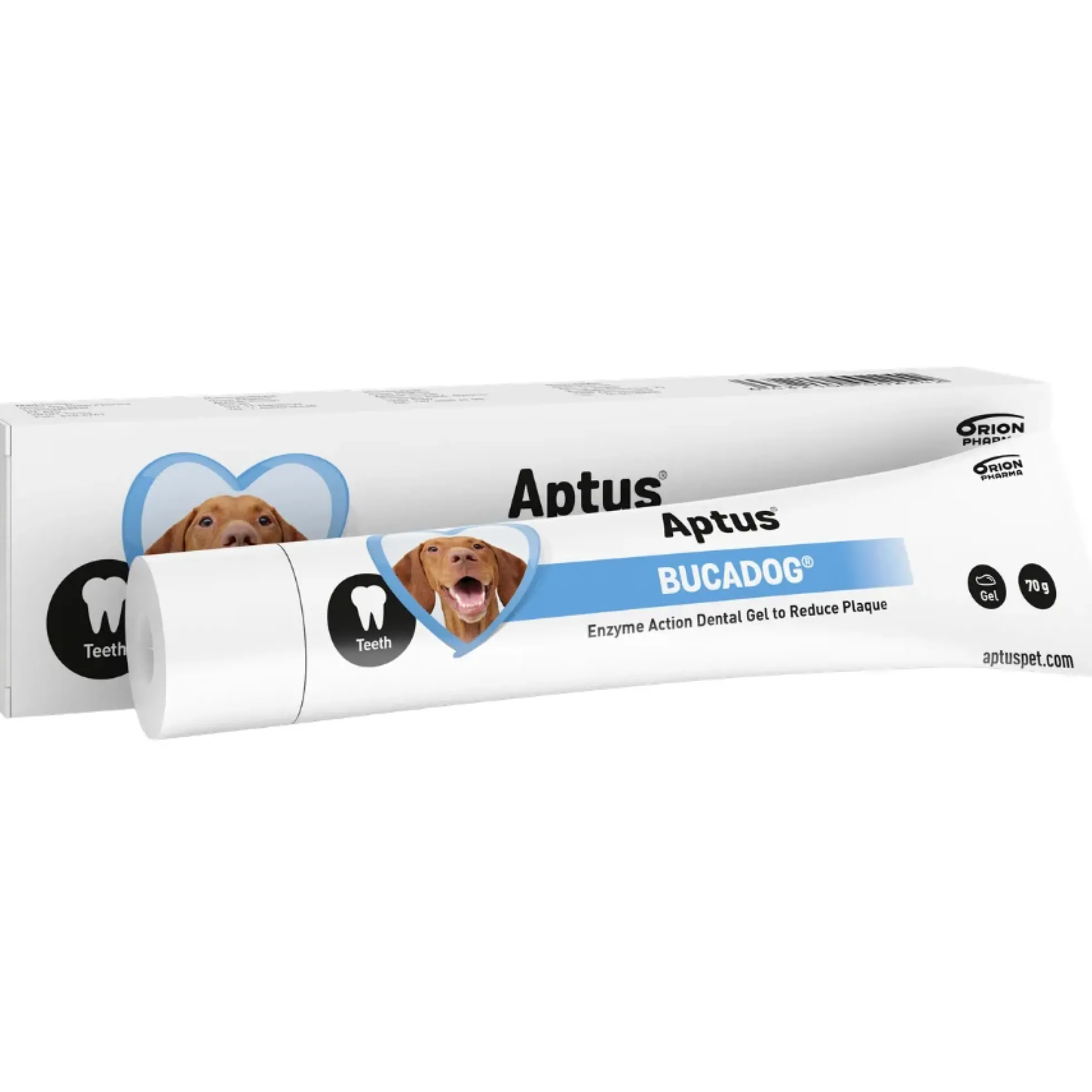 Aptus Bucadog hammasgeeli koirille