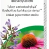 A.Vogel Echinacea-Salvia 20 tabl