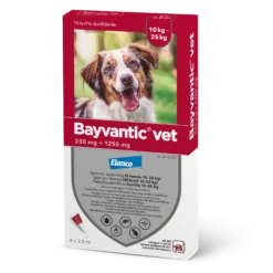 Bayvantic Vet 10-25 kg koirille - 250/1250 mg/ml