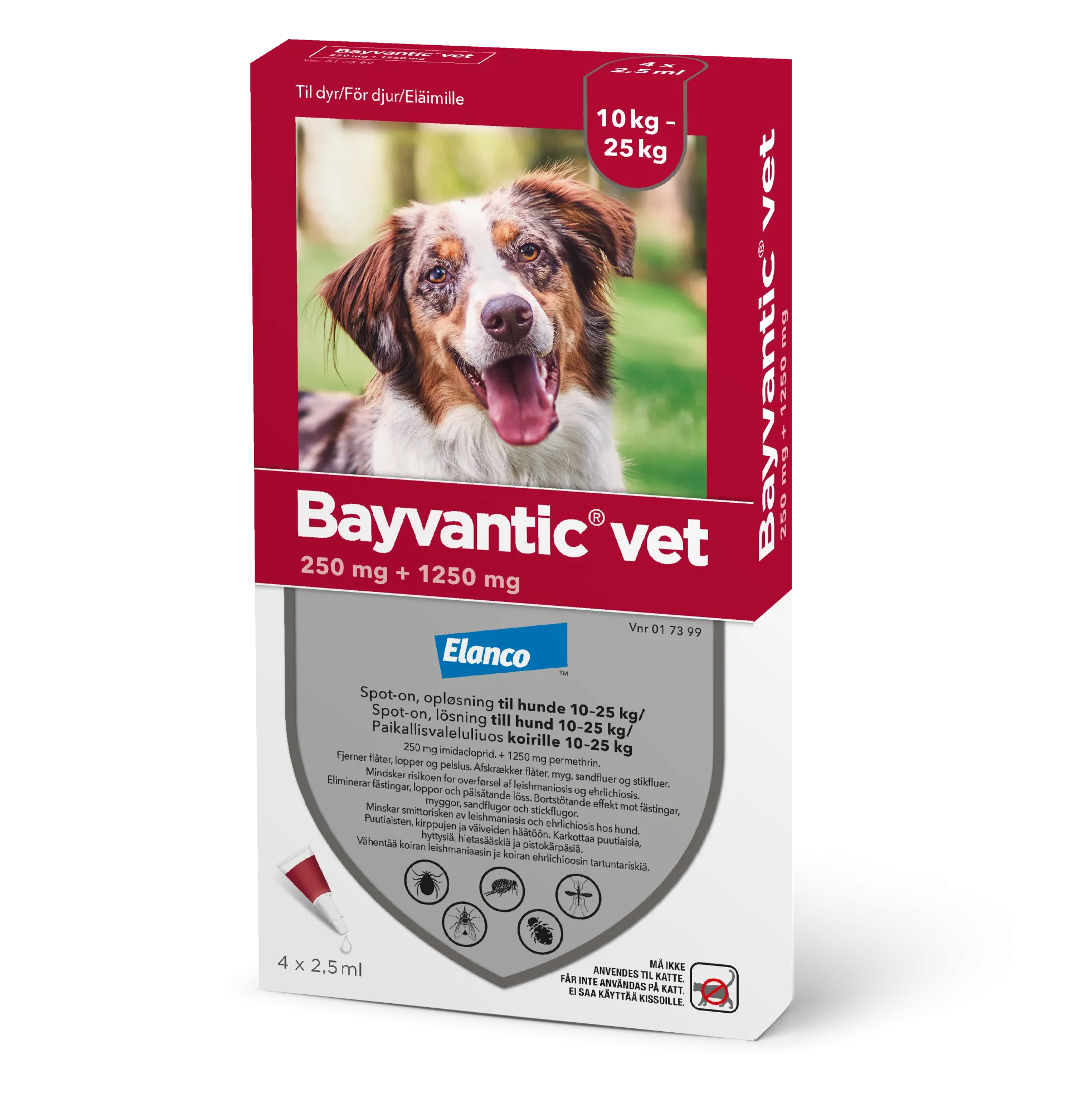 Bayvantic Vet 10-25 kg koirille - 250/1250 mg/ml