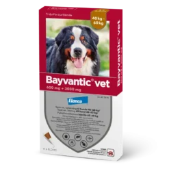 Bayvantic Vet 40-60 kg koirille- 600/3000 mg/ml