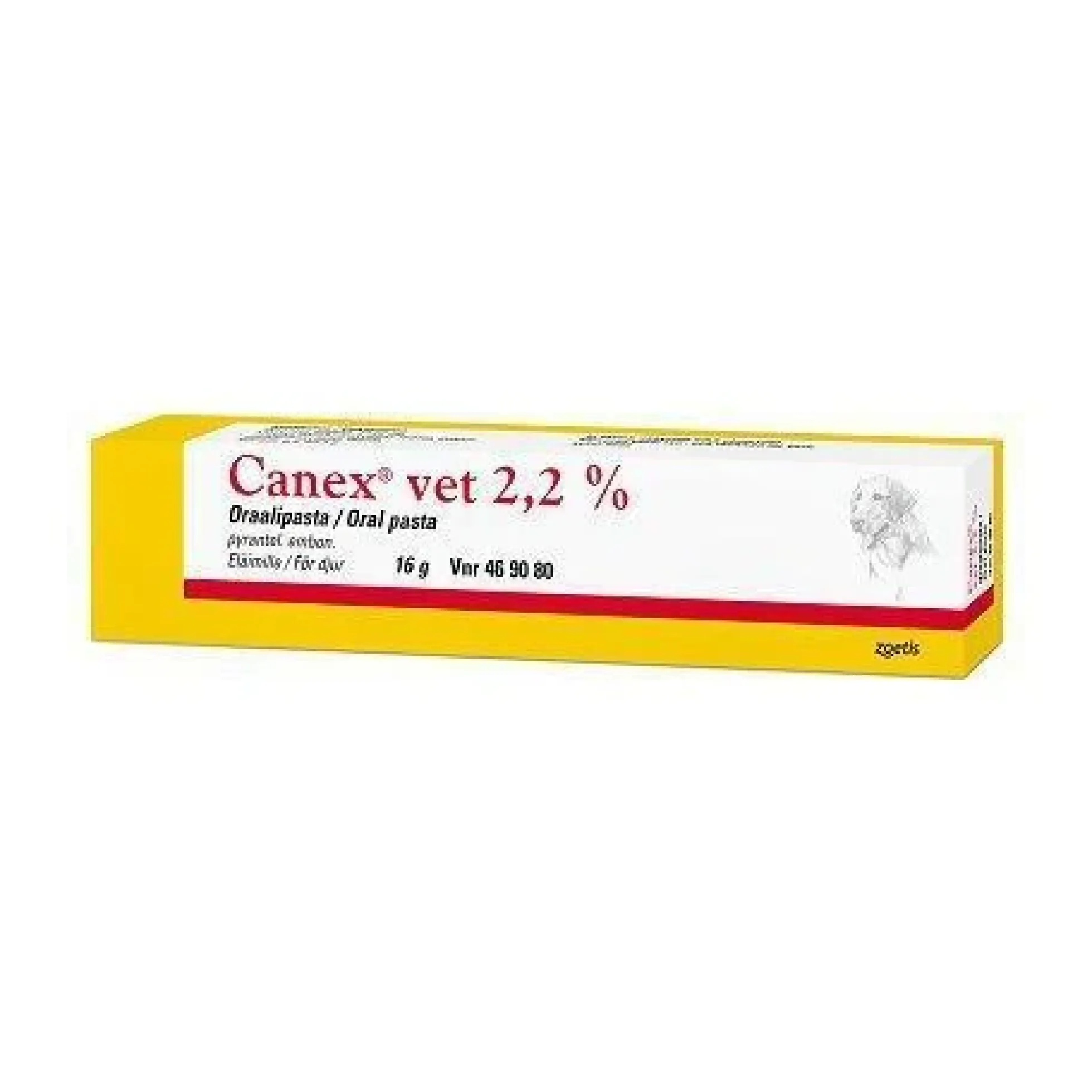 Canex Vet 2,2 % -oraalipasta -eri kokoja