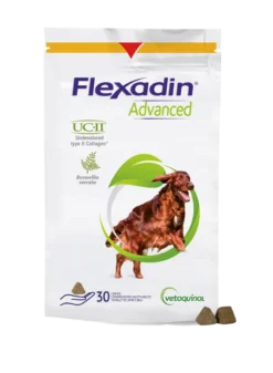 Flexadin Advanced -nivelravinne koirille -Eri pakkauskokoja