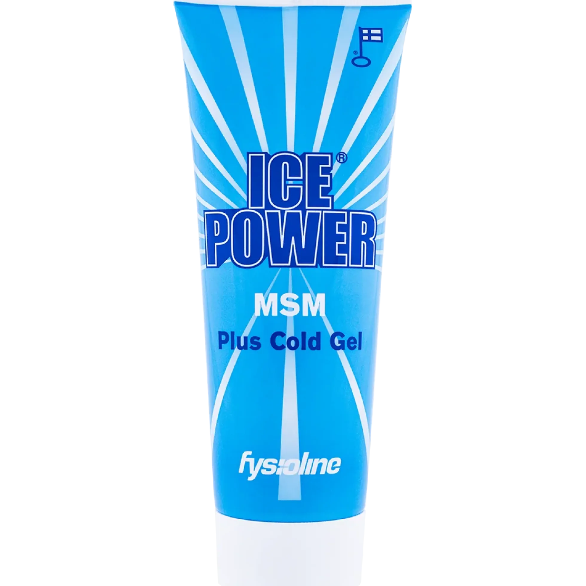 Ice Power Plus MSM
