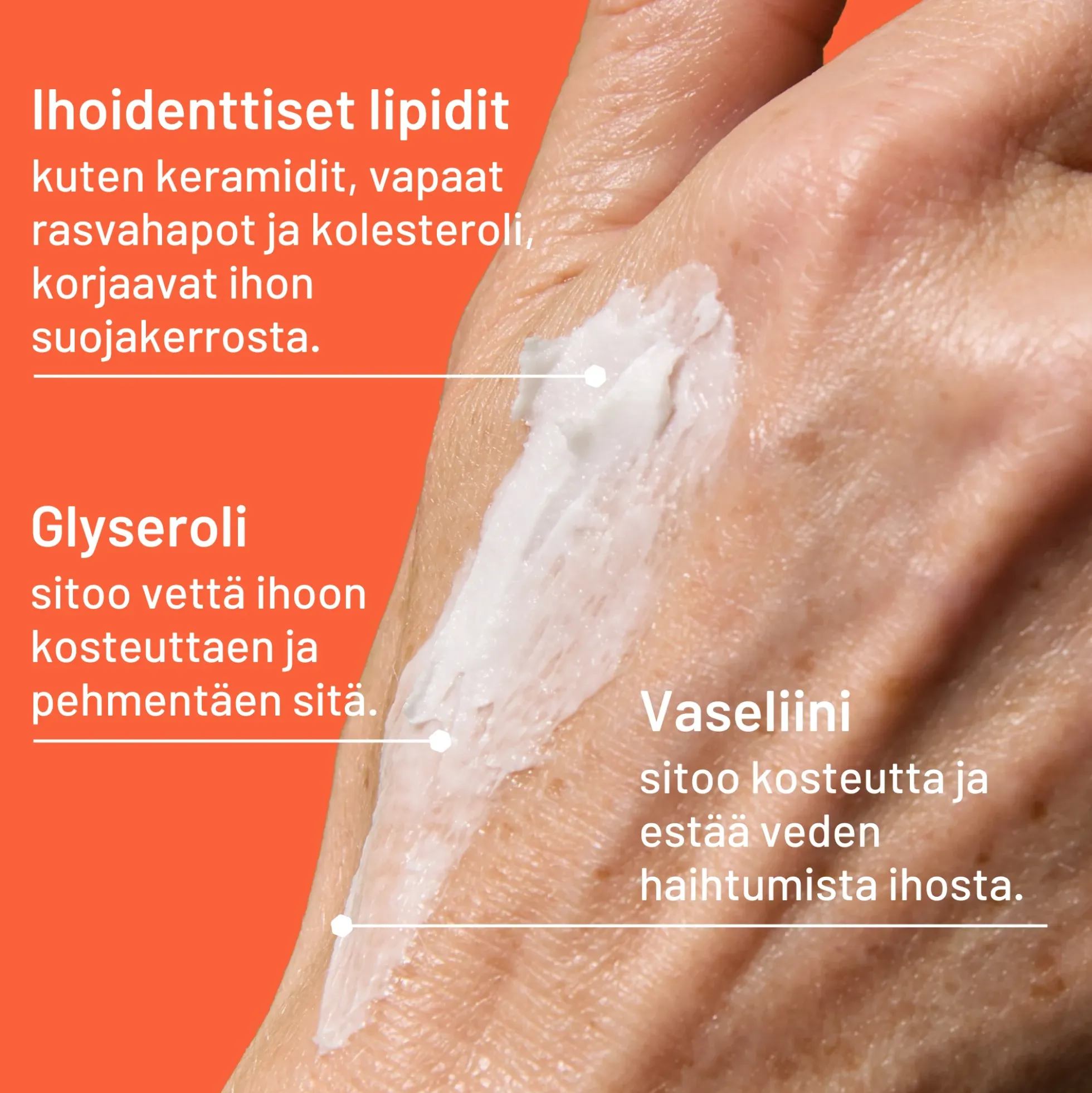 Locobase Repair erikoisvoide - eri kokoja Korjaava voide hyvin kuivalle ja halkeilevalle iholle