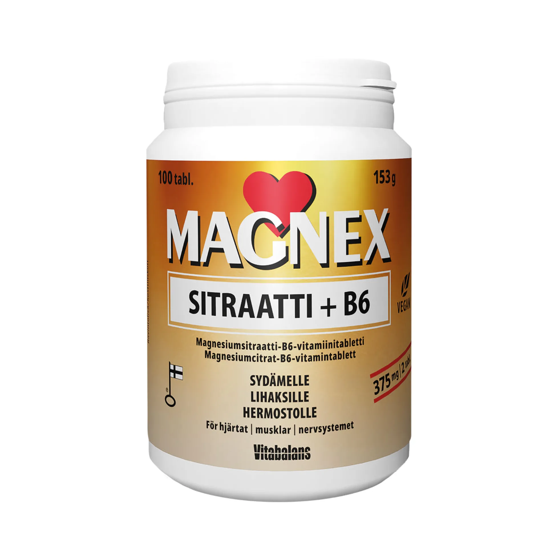 Magnex Sitraatti 375mg + B6 100 tabl