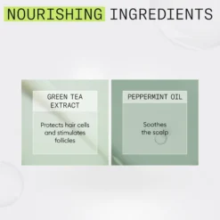 Nioxin System 2 Conditioner for Thinning Hair 1000 ml - Hoitoaine selvästi ohentuneille hiuksille