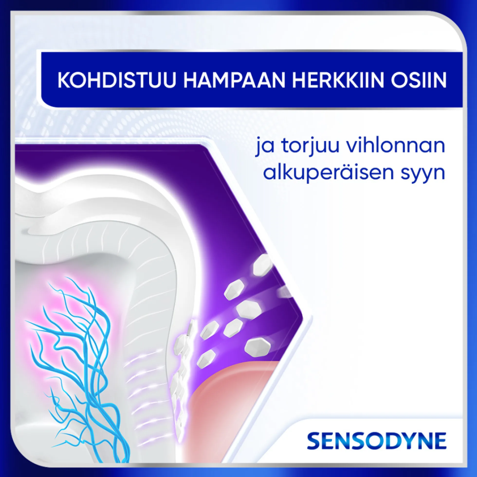 Sensodyne Clinical Repair Deep Clean hammastahna 75 ml