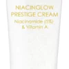 V10 Plus Niacinglow Cream